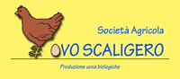 OVO-SCALIGERO